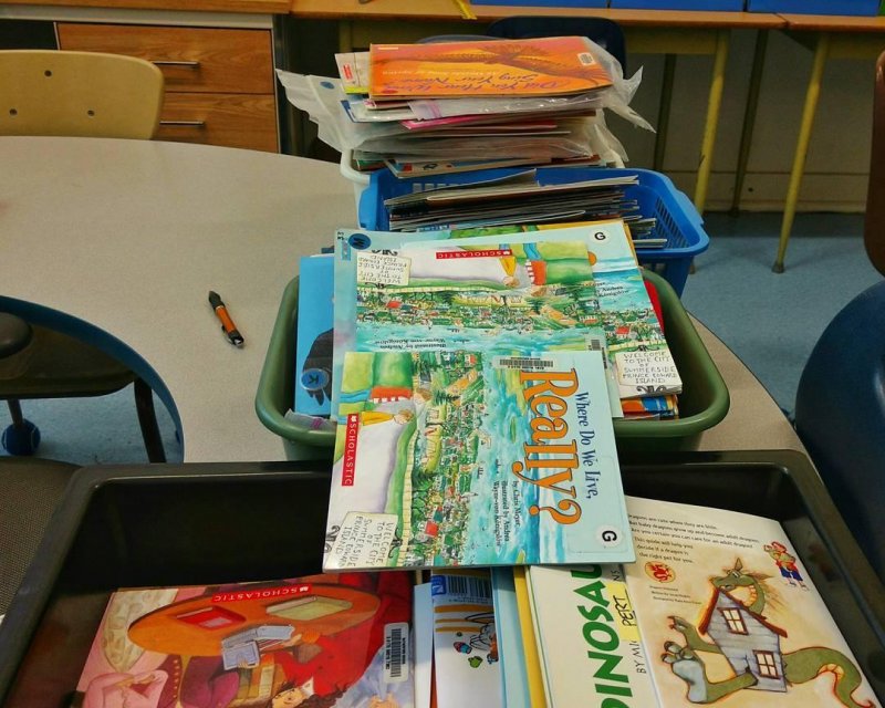 Helping out at school today because of the podcast meet up on Sunday. I get to organize all these books.