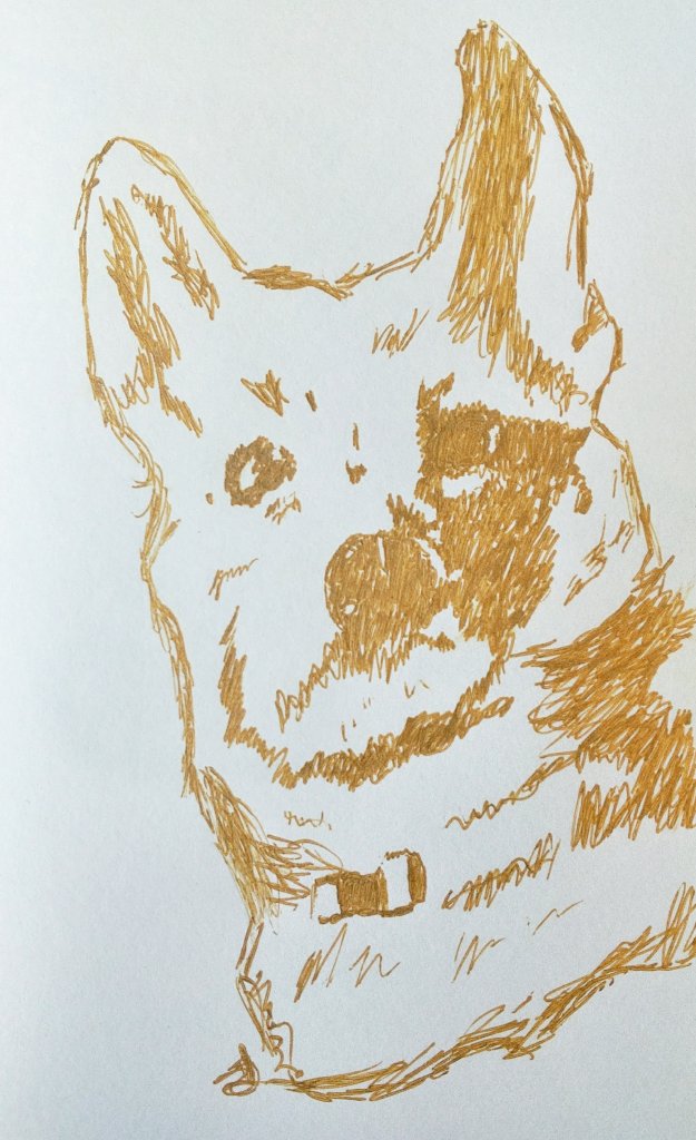 A sketch of my dog Coco