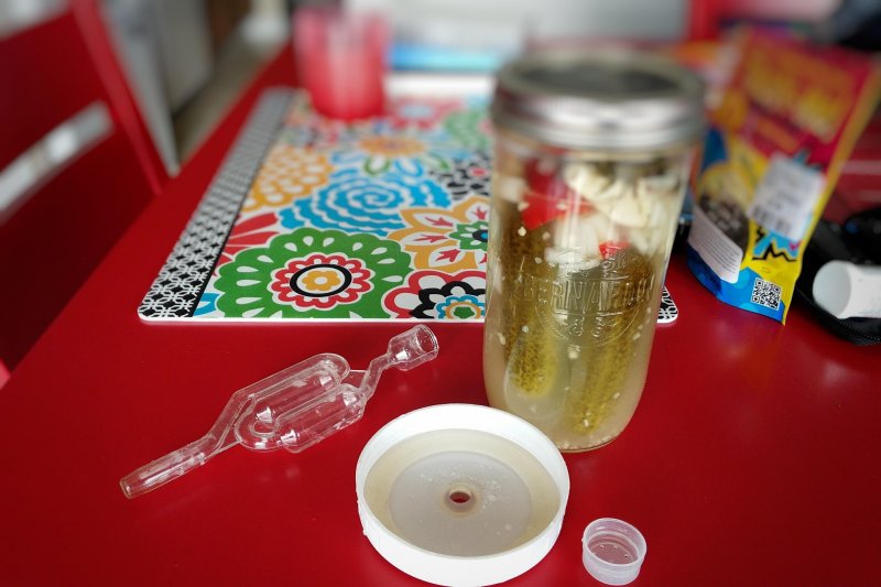 Some yeast made the water cloudy, but this time the Picklemeister™ came through. YUM!